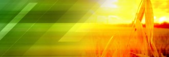 Sunset Field Website Banner