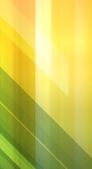Yellow Green Website Sidebar