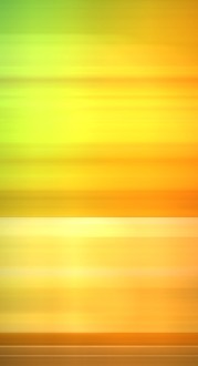 Orange and Green Website Sidebar