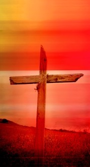 Red Cross Website Sidebar
