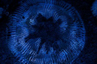 Blue Ripples Worship Video