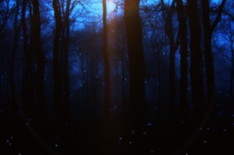 Firefly Worship Video