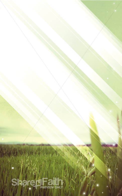 Light Fields Bulletin Cover
