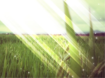 Mission Fields PowerPoint 