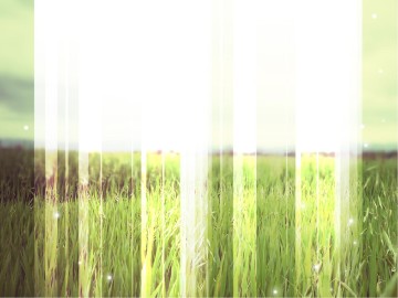 Mission Fields PowerPoint 