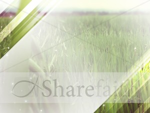 Grassy Field Worship Background