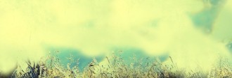 Grassy Hill Website Banner