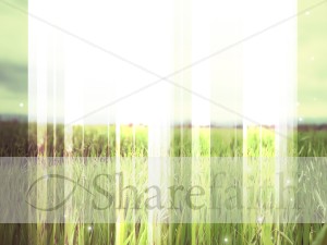 Green Fields Worship Background
