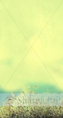 Grassy Website Sidebar