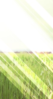 Field Website Sidebar