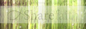 Grassy Field Website Banner