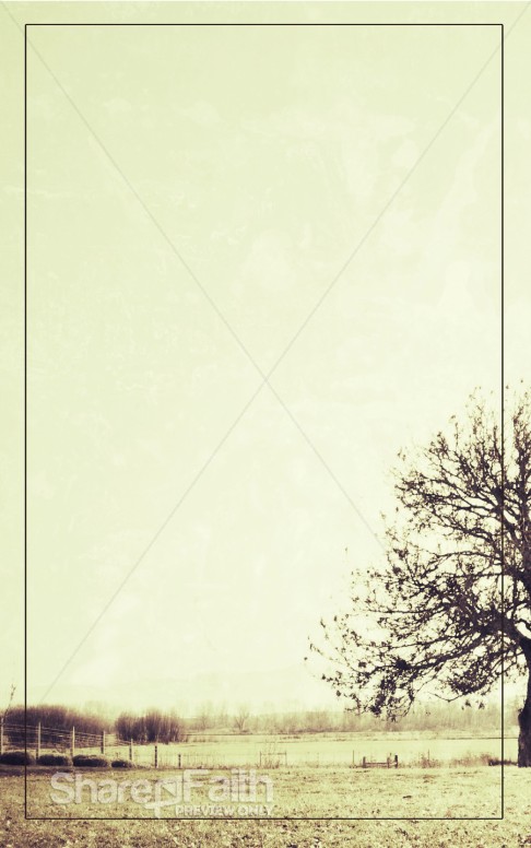 Tree Nature Bulletin Cover