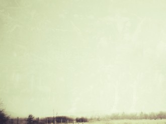 Country Fields Background