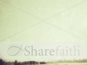 Country Fields Background
