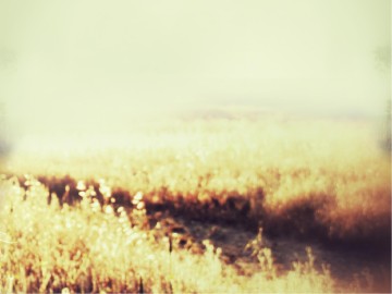 His Presence PowerPoint Template