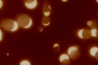 Dots Motion Worship Background