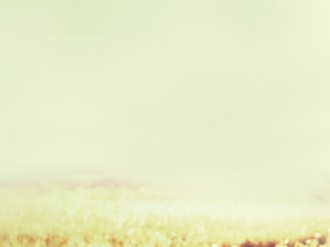 Field Scenery Worship Background