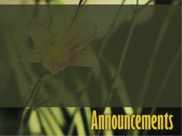 Creation Testifies PowerPoint Sermon Template