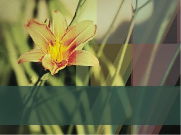 Creation Testifies PowerPoint Sermon Template