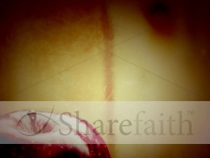 Bearing Fruit Worship Background