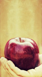 Bear Fruit Web Sidebar