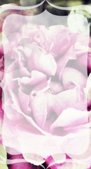 Flower Petals Website Sidebar