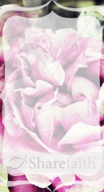 Flower Petals Website Sidebar