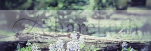 He Will Provide Website Banner