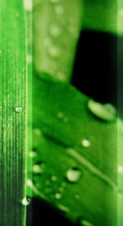 Refresh Website Sidebar