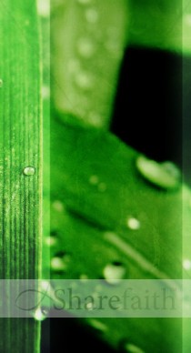 Refresh Website Sidebar