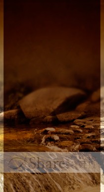 Water of Life Website Sidebar