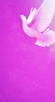 Come Holy Spirit Website Sidebar