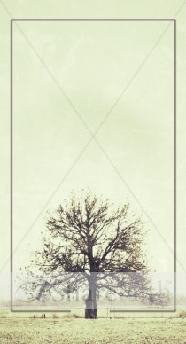 Trials and Tribulations Website Sidebar