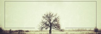 Trials and Tribulations Website Banner