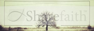 Trials and Tribulations Website Banner
