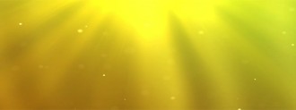 Golden Triple Wide Video