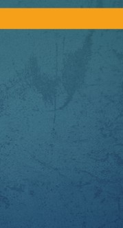 Blue and Orange Website Sidebar
