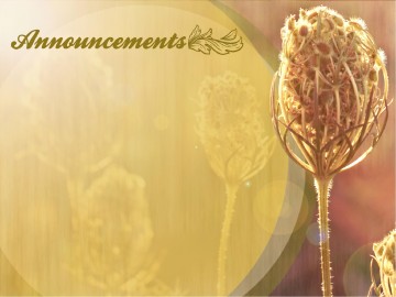 Peace of God PowerPoint Design