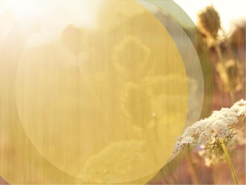 Peace of God PowerPoint Design