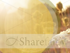 Peace of God Worship Background