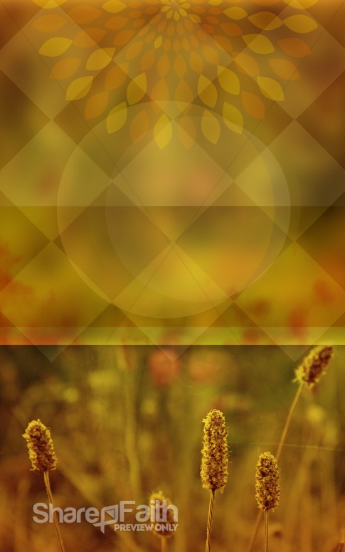 Wheat Church Bulletin Cover