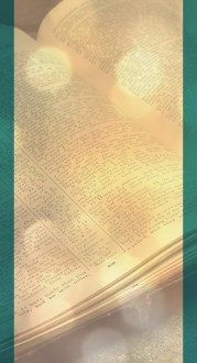 The Bible Website Sidebar