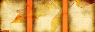 Harvest Fall Website Banner