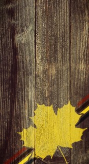 Single Leaf Website Banner