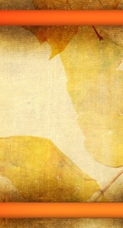 Harvest Website Sidebar