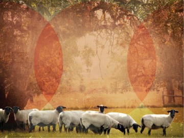 The Lord Is My Shepherd Sermon PowerPoint Template