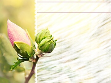 New Day PowerPoint Sermon Template