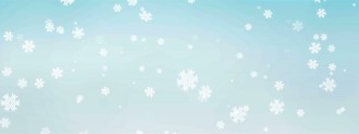 Christmas Snowflakes Triple Wide Videos