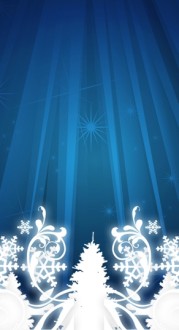 Christmas Season Church Website Sidebar