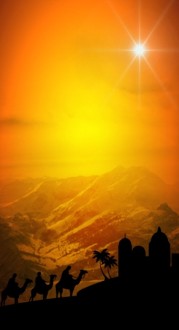 Wise Men Website Sidebar
